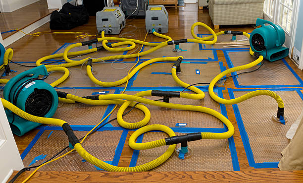 Professional Burst Pipe Water Damage technician working in Paeonian Springs, VA